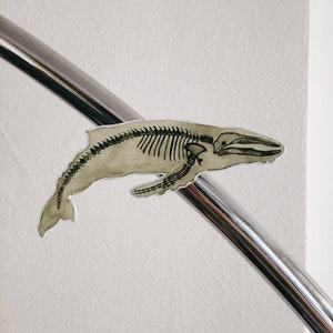 May include: A close-up of a whale skeleton sticker on a silver metal bar. The sticker is a light brown colour with black lines depicting the bones.