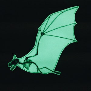 Glowing Bat Skeleton Fridge Magnet: Glowing in the Dark, Bat Anatomy, Cool Magnet