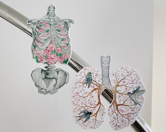 ANY 2 Anatomy Kühlschrankmagnet: Anatomischer Mensch, Set mit Tierskelett-Magnet