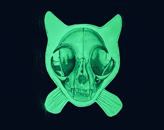 Glowing Cat Skeleton Fridge Magnet: Glowing in the Dark, Cat Skull Anatomy, Cool Magnet