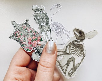 May include: Four skeleton illustrations on a white background. The skeletons are of a flamingo, a rabbit, and two human figures embracing. The human skeleton has pink flowers inside the rib cage.