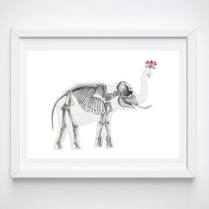 May include: A white framed print of a skeletal elephant with a pink lotus flower in its trunk.