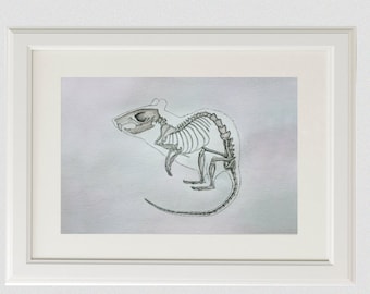 May include: A black and white illustration of a rat skeleton on a light purple background.