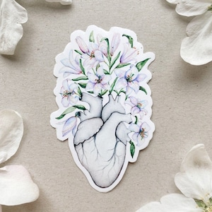 Adesivo floreale a forma di cuore umano con gigli: anatomia in fiore, regalo d'amore di San Valentino, paraurti anatomico in vinile bianco o trasparente