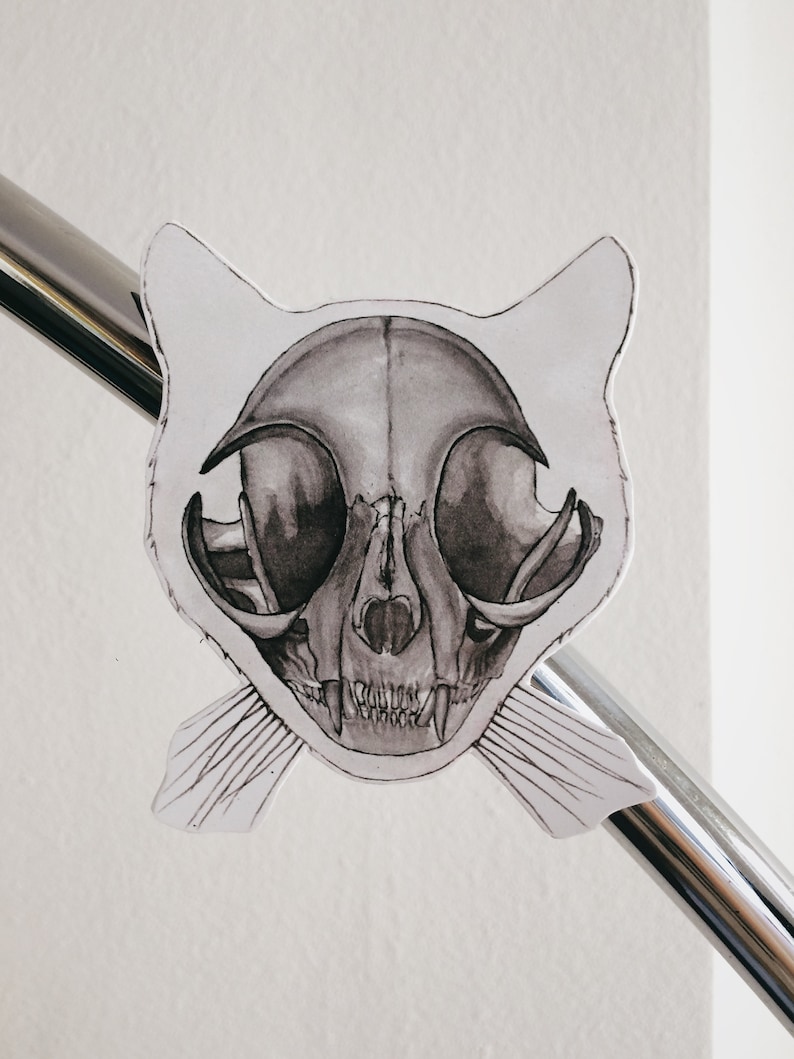 May include: A black and white illustration of a cat skull with a detailed drawing of the teeth and bone structure.