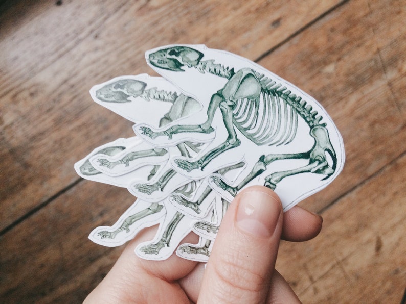 May include: A set of five paper cutouts of a skeleton of a small animal, possibly a rodent, walking. The cutouts are layered on top of each other to create a walking animation. The cutouts are printed on white paper with a green tint.
