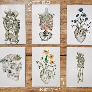 Spine with Grape Anatomy Postcard: Human Skeleton, Botanical Illustration Card image 4