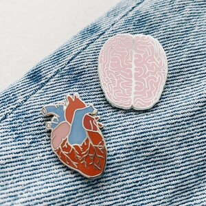 K&ouml;nnte beinhalten: Zwei Emaille-Pins auf einem blauen Jeans-Hintergrund. Ein Pin ist ein rosa Gehirn und der andere ein rotes Herz mit blauen und rosa Details.
