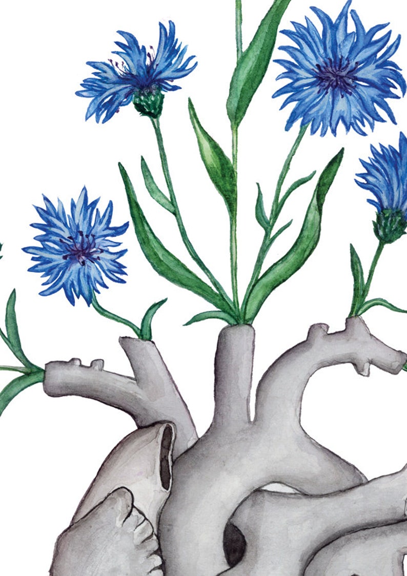 Illustrated Card Skeleton Flower Nature for Friend Love Goth Anatomy Art Gift Blue Cornflower Floral Heart Postcard
