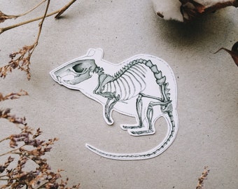 Rat Skeleton Sticker: Mice Mouse Anatomy, White or Transparent Vinyl