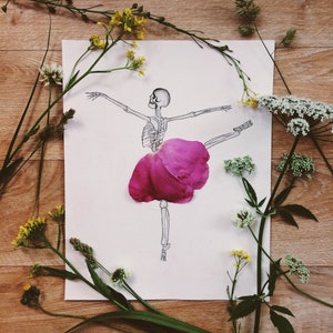 May include: A whimsical illustration of a skeleton ballerina in a pink petal tutu, arms outstretched. The drawing is on white paper, surrounded by sprigs of yellow and white wildflowers and green foliage, set against a wooden background.