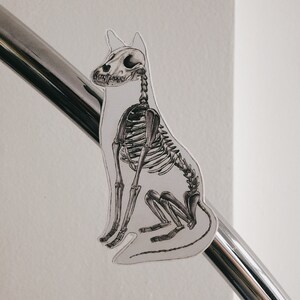 Fox Skeleton Anatomy Magnet | Watercolor Art, Science Lover Gift