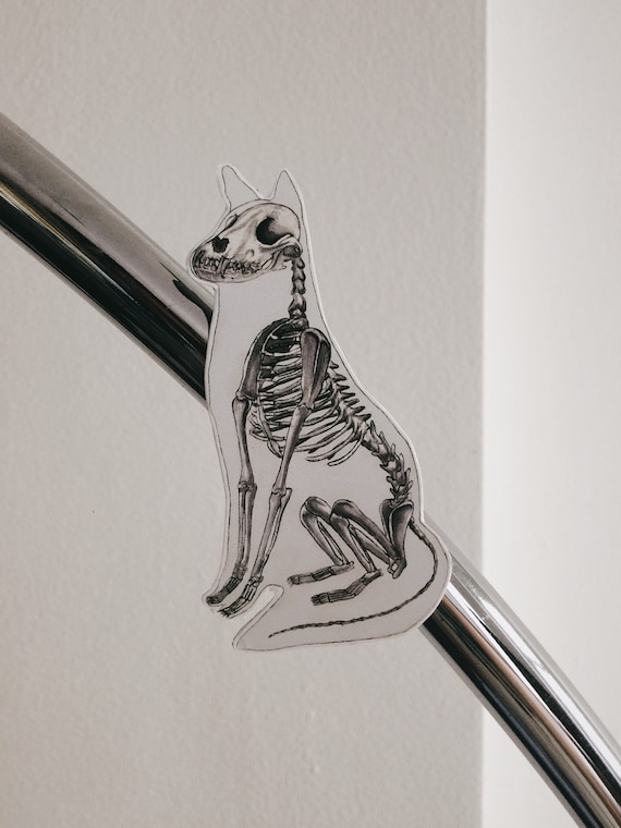 Creepy Cat Magnet