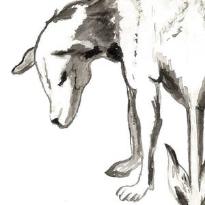 Tryck av grönsakslamm | Anatomi i akvarell, hund-får, udda bild 3