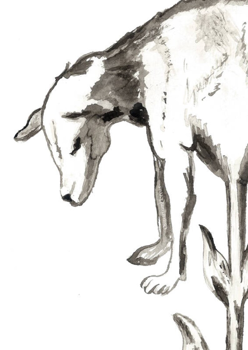 Tryck av grönsakslamm | Anatomi i akvarell, hund-får, udda bild 3