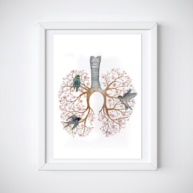 May include: A watercolor painting of a pair of lungs with branches of pink flowers and small birds perched on the branches. The lungs are depicted in a realistic anatomical style.