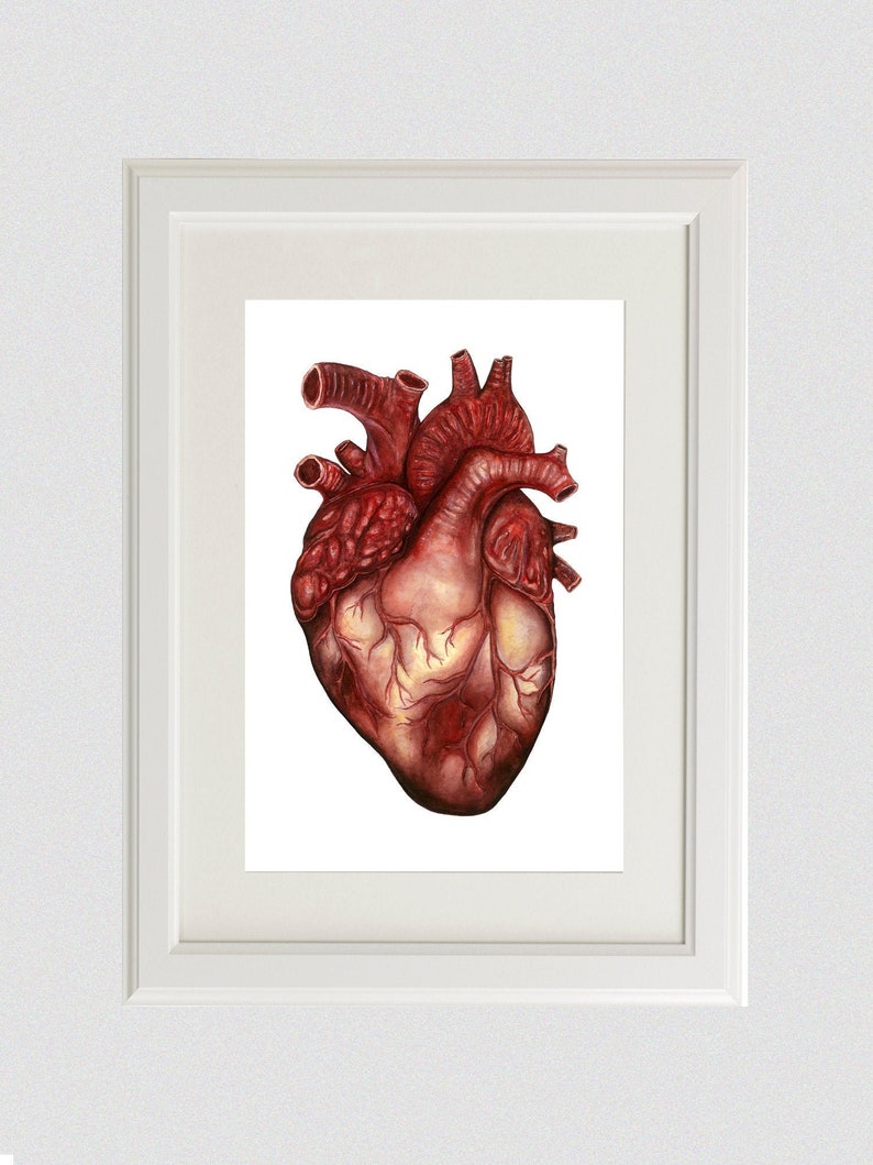 Human Heart Anatomy Print: Anatomical Poster, Watercolor Art, Unique Doctor Gift Artwork, Oddity Curiocity Creepy Goth image 1