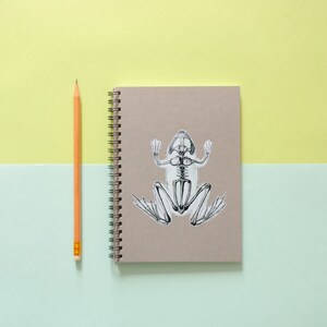 Op de afbeelding: Een beige notitieboek met een spiraalbinding en een zwart-witte sticker van een skelet van een kikker op de voorkant. Een geel potlood ligt naast het notitieboek op een lichtblauw en geel oppervlak.