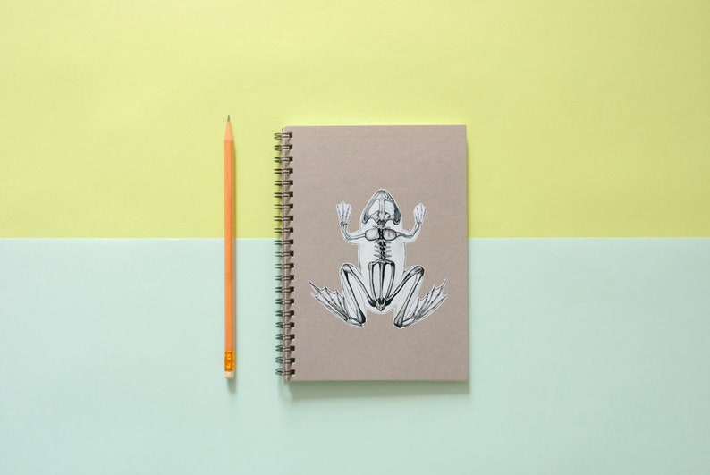 Op de afbeelding: Een beige notitieboek met een spiraalbinding en een zwart-witte sticker van een skelet van een kikker op de voorkant. Een geel potlood ligt naast het notitieboek op een lichtblauw en geel oppervlak.