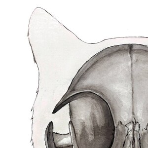 Cat Skull Print: Animal Skeleton, Anatomical Wall Art, Veterinarian Poster image 3