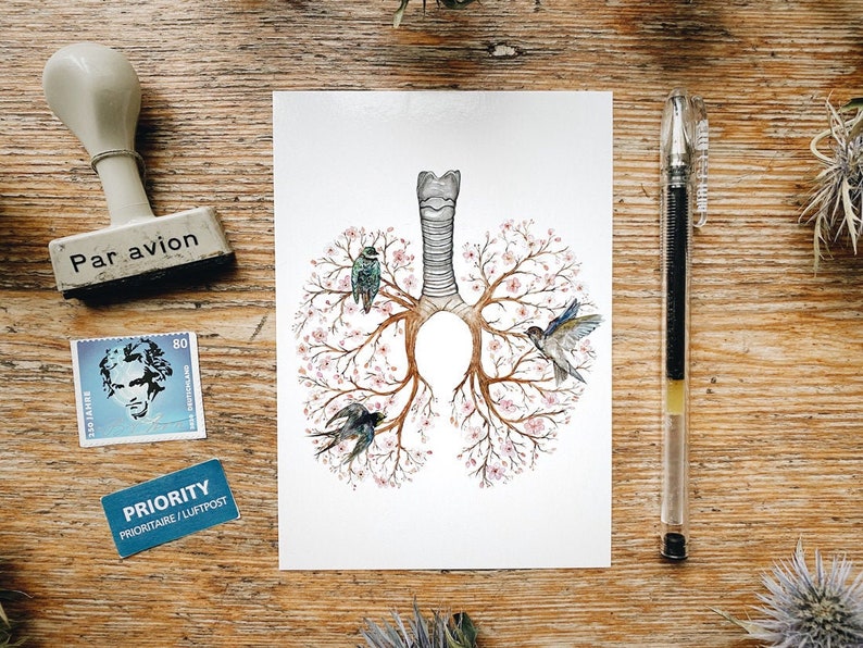 May include: A watercolor illustration of a pair of lungs with a tree growing from each lung. The trees are in bloom with pink flowers and there are small birds perched on the branches. The illustration is on a white background.
