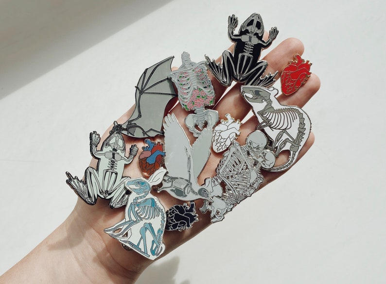 Puede incluir: Una colecci&oacute;n de pines de esmalte con ilustraciones anat&oacute;micas de varios animales, incluyendo una rana, un murci&eacute;lago, un p&aacute;jaro, un conejo y una rata. Los pines son plateados con detalles en blanco y negro. Tambi&eacute;n hay dos pines de coraz&oacute;n rojo.