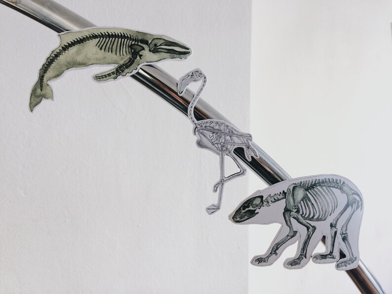 May include: Three skeletal animal illustrations are displayed on a silver metal bar. The illustrations are of a whale, a flamingo, and a bear. The whale is green and white, the flamingo is white, and the bear is white.
