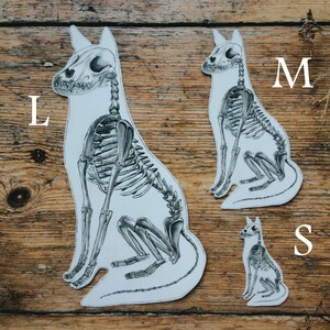 May include: Three black and white cat skeleton illustrations on a wooden background. The skeletons are in different sizes, labeled L, M, and S.