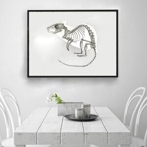 May include: A black framed print of a rat skeleton in a white background. The rat is in a standing position with its tail curled behind it. The print is hanging on a white wall above a white table with two white chairs.