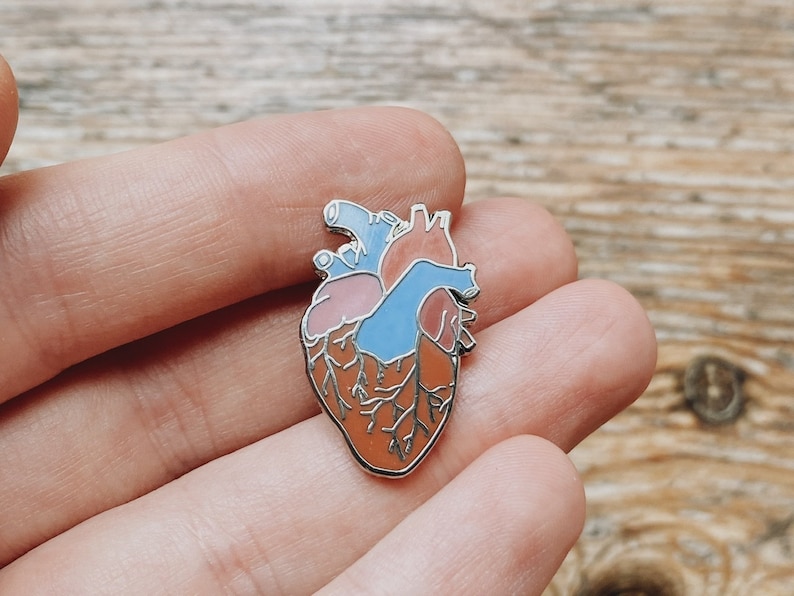 May include: A silver-toned enamel pin shaped like a human heart. The heart is detailed with anatomical features and is colored in shades of blue, pink, and brown.