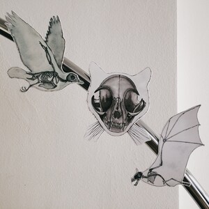 May include: Three paper cutouts of animal skeletons: a bird, a cat, and a bat. The bird is in flight, the cat is facing forward, and the bat is in flight with its wings spread. The cutouts are all in black and white and are attached to a silver metal rod.
