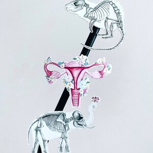 May include: Three anatomical illustrations on a black background. The top illustration is a rat skeleton, the middle illustration is a uterus with flowers, and the bottom illustration is an elephant skeleton.