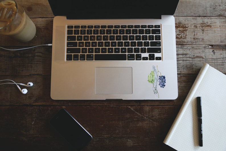 K&ouml;nnte beinhalten: Ein Laptop mit Tastatur und Touchpad liegt auf einem Holztisch. Auf dem Laptop befindet sich ein Aufkleber mit einer Aquarellillustration von Trauben und Bl&auml;ttern. Ein Notizbuch, ein Stift, ein Telefon und Kopfh&ouml;rer befinden sich ebenfalls auf dem Tisch.