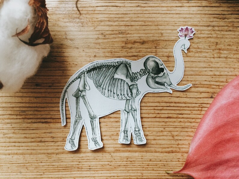 May include: A white paper cutout of an elephant skeleton with a pink flower on its head. The elephant is standing on a wooden surface.