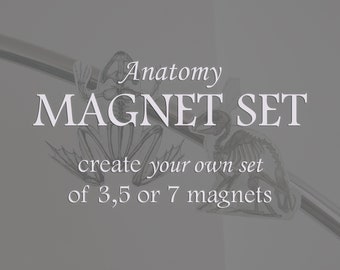 Set of 3, 5, 7 Anatomy Fridge Magnet: Human Body Art, Pack of Animal Skeleton Magnet