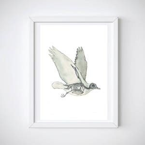 Dove Skeleton Watercolor Print | Anatomy Art Gift for Veterinarian