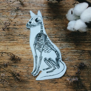 Fox Skeleton Sticker: Anatomy Art, Animal Biology, Vet Laptop Sticker in 3 sizes, White and Transparent Vinyl