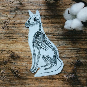 Adesivo Scheletro di Volpe: Arte Anatomica, Biologia Animale, Adesivo per Laptop Veterinario in 3 misure, Vinile Bianco e Trasparente