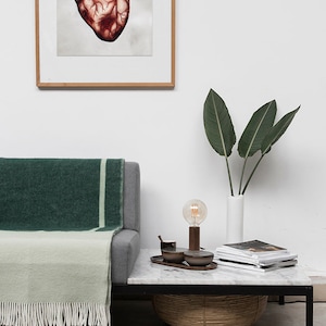 Puede incluir: Una manta de tiro verde y blanca drapeada sobre un sof&aacute; gris con una impresi&oacute;n de coraz&oacute;n anat&oacute;mico enmarcada en la pared detr&aacute;s. Un jarr&oacute;n blanco con hojas verdes y una l&aacute;mpara de mesa con una bombilla est&aacute;n sobre una mesa de caf&eacute; de m&aacute;rmol con una cesta tejida debajo.