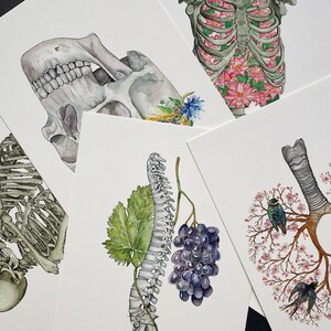 Mystery Anatomy Postcard Set: Anatomical Magic Grab Box, Surprise Human Skeleton Bundle, Floral Watercolor Unique Valentines Day Gift image 2