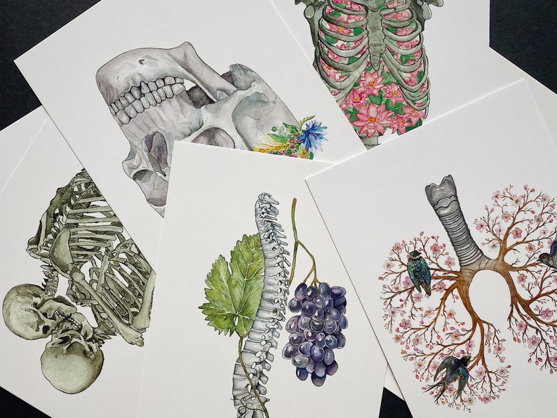 Mystery Anatomy Postcard Set: Anatomical Magic Grab Box, Surprise Human Skeleton Bundle, Floral Watercolor Unique Valentines Day Gift image 2