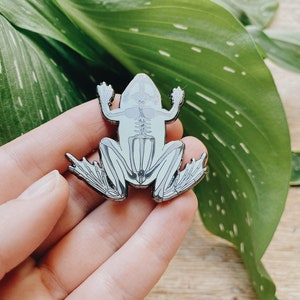 Op de afbeelding: Een zilverkleurige emaille pin met een gedetailleerd skelet van een kikker. De kikker is afgebeeld in een zittende positie met zijn poten uitgestrekt.
