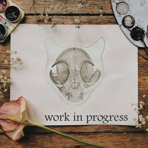 Original Cat Skull Watercolor Painting: Kitty Skeleton Anatomy Artwork image 4