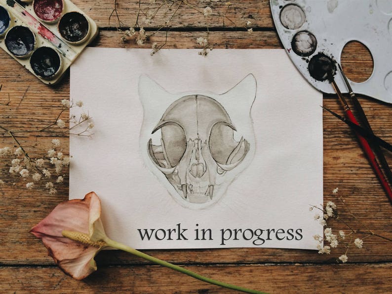 Original Cat Skull Watercolor Painting: Kitty Skeleton Anatomy Artwork image 4