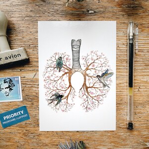 May include: A watercolor illustration of a pair of lungs with a tree growing from them. The tree has pink flowers and there are three birds perched on the branches. The birds are blue, green, and brown.