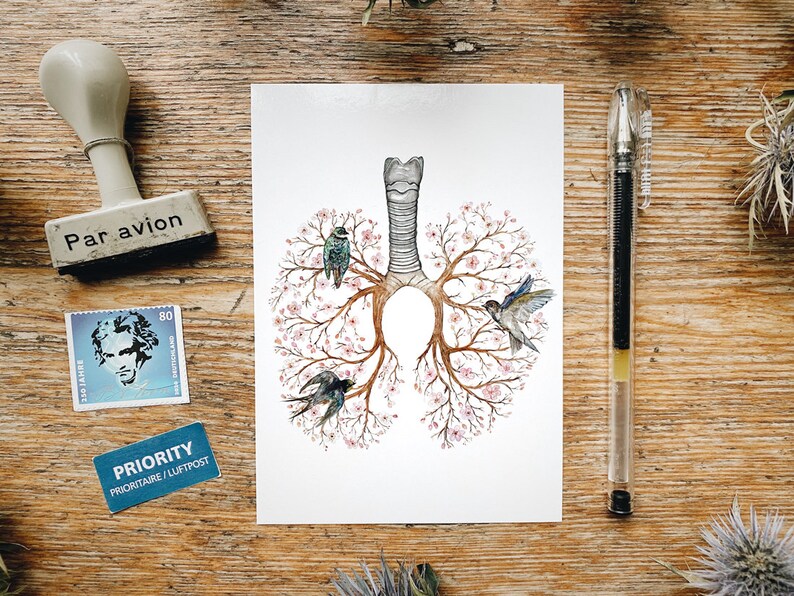 May include: A watercolor illustration of a pair of lungs with a tree growing from them. The tree has pink flowers and there are three birds perched on the branches. The birds are blue, green, and brown.