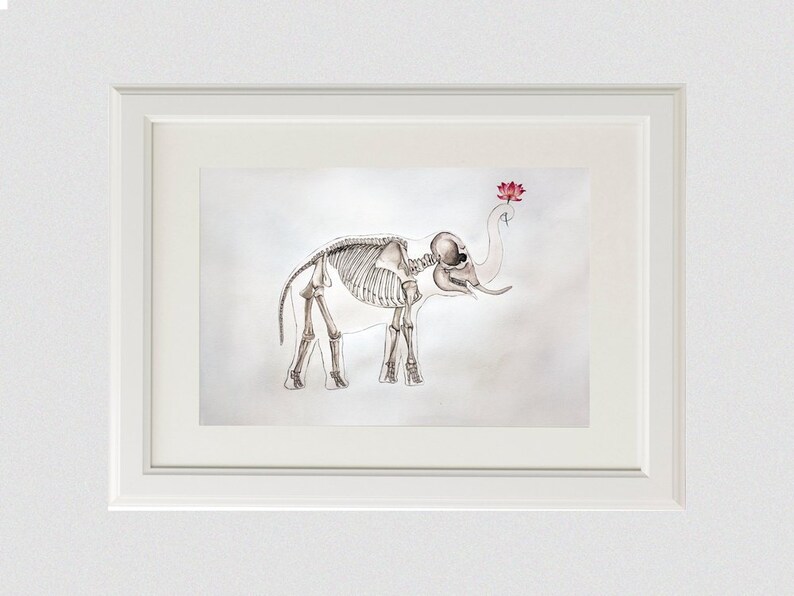 May include: A framed watercolor painting of an elephant skeleton with a pink lotus flower on its trunk. The background is a light gray.