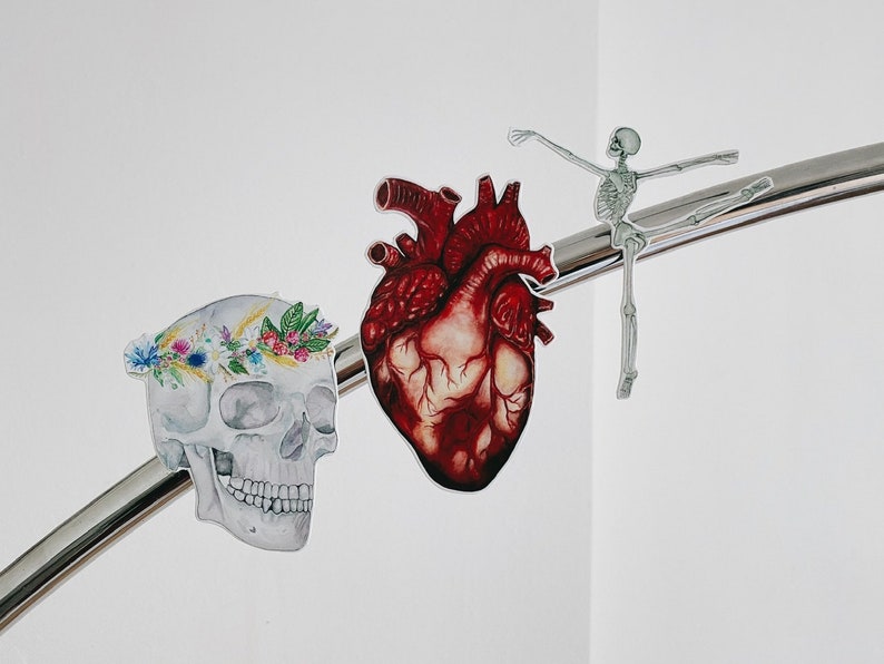 May include: A human heart, a skull with a floral crown, and a skeleton dancing on a silver bar. The heart is red and detailed, the skull is white with a colourful flower crown, and the skeleton is white and grey.