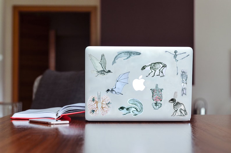 May include: A silver laptop with various stickers depicting anatomical drawings of animals, including a whale, bat, squirrel, and rabbit. The stickers are in black and white with some subtle color accents.