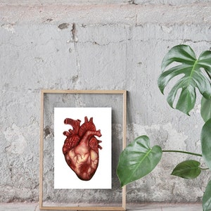 Human Heart Anatomy Print: Anatomical Poster, Watercolor Art, Unique Doctor Gift Artwork, Oddity Curiocity Creepy Goth image 6